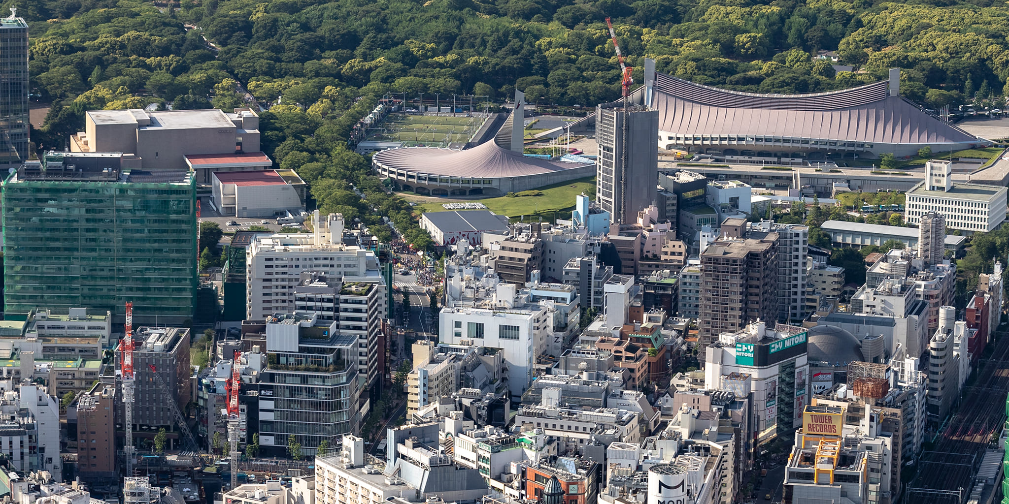 ヘリコプターで東京上空をフライトして見える代々木公園