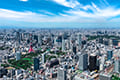 ヘリコプターで東京上空をフライトして見える芝公園